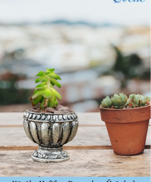 Mini Çiçek Saksı Küçük Sukulent Gümüş Eskitme Kaktüs Saksısı Antika Vazo Model